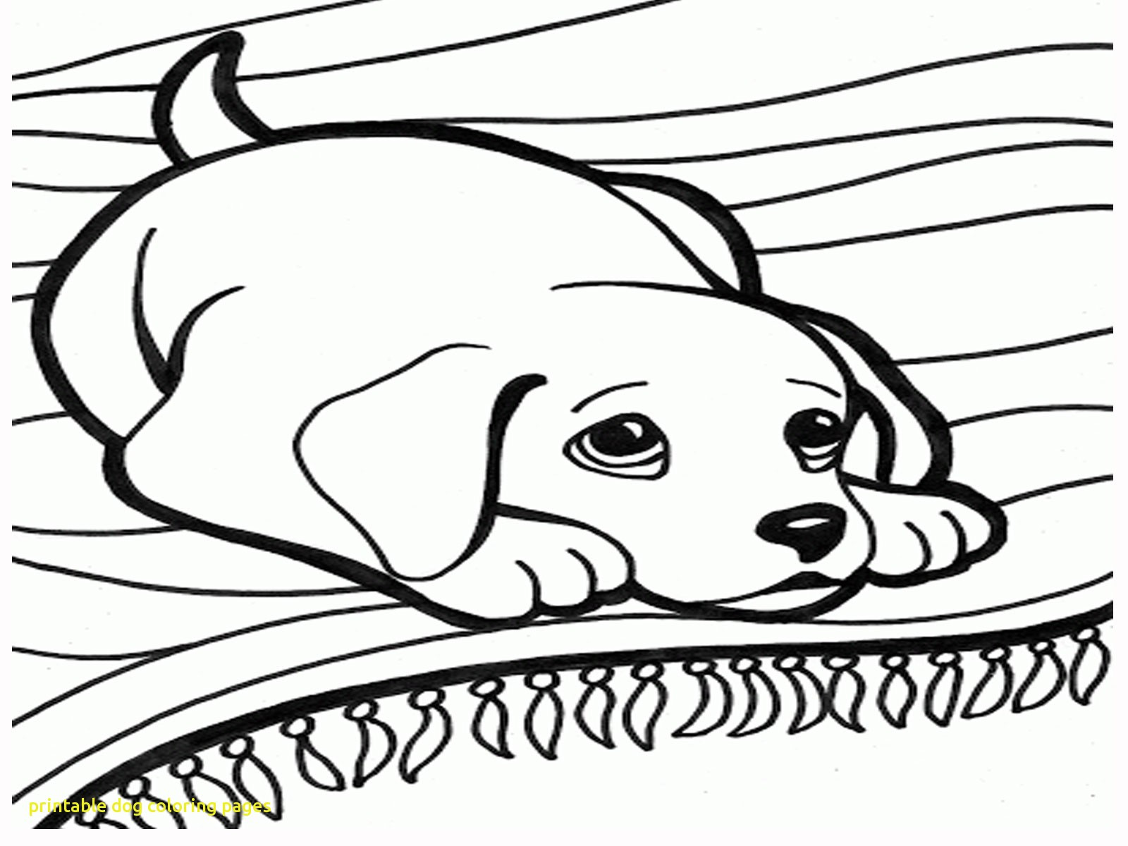 Dog Coloring Pages for Kids 39