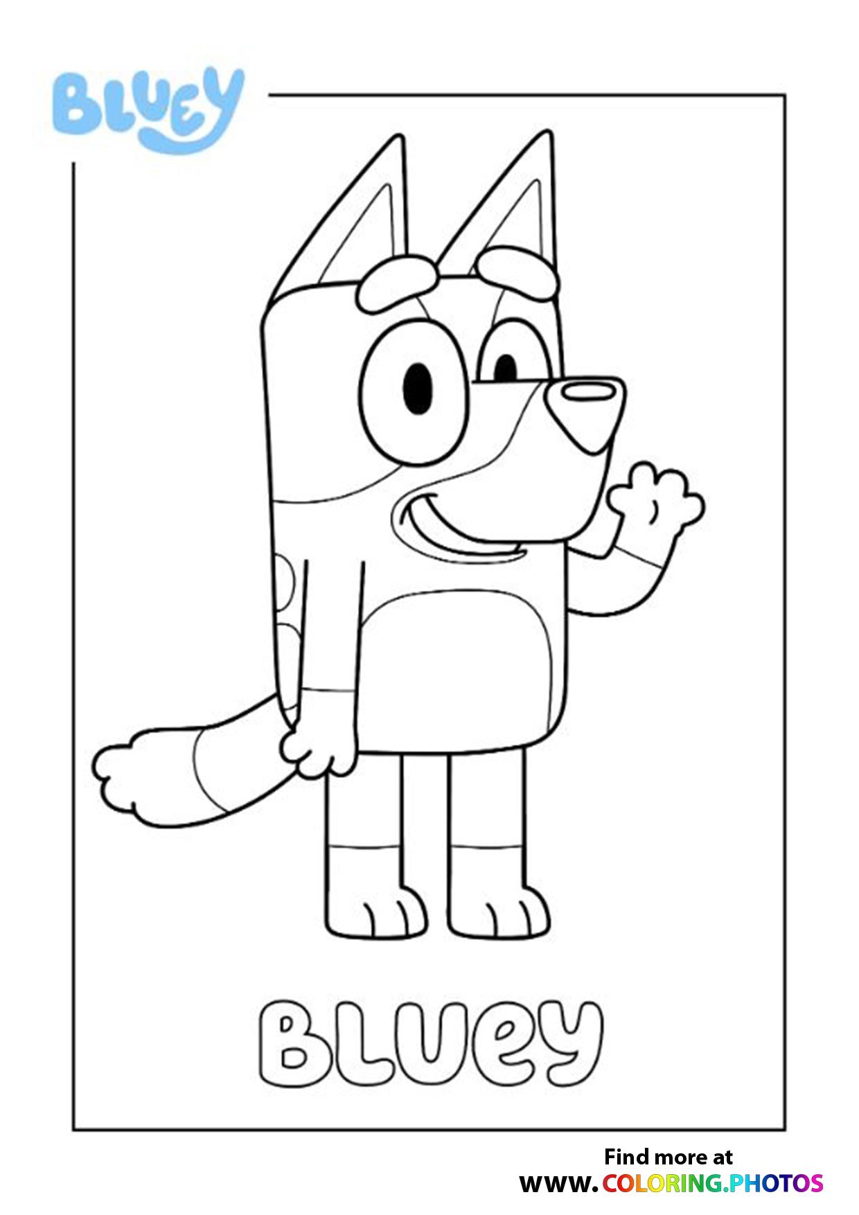 15+ Bluey Coloring Pages