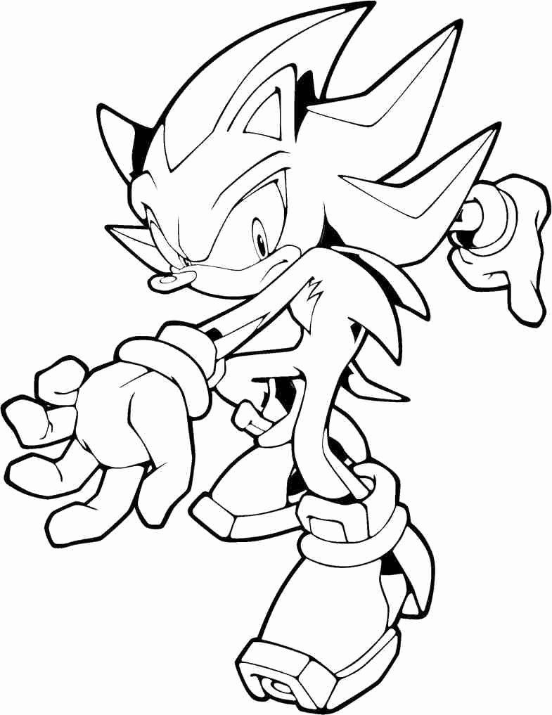 15+ Sonic Coloring Pages