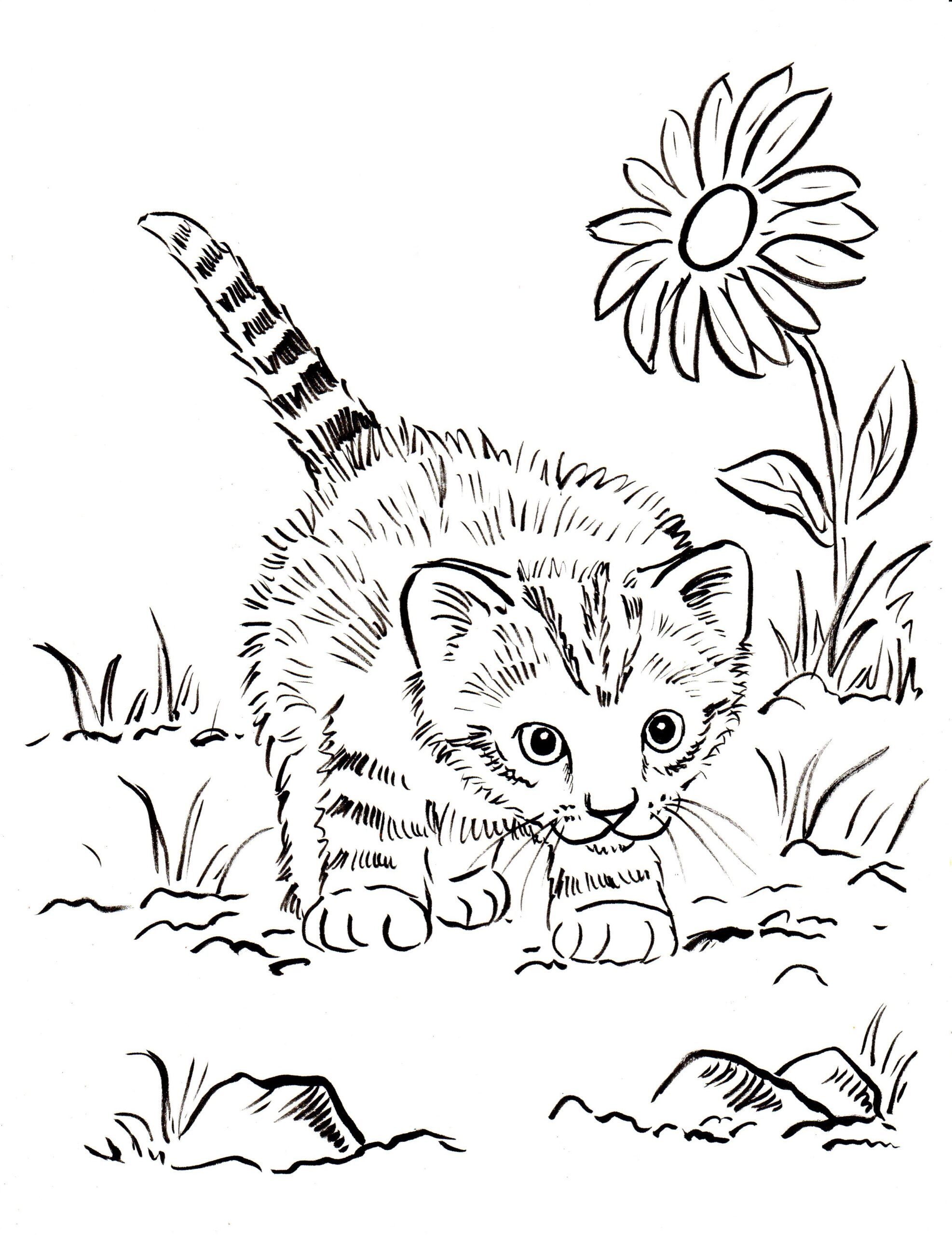 20 Cat coloring sheet printable