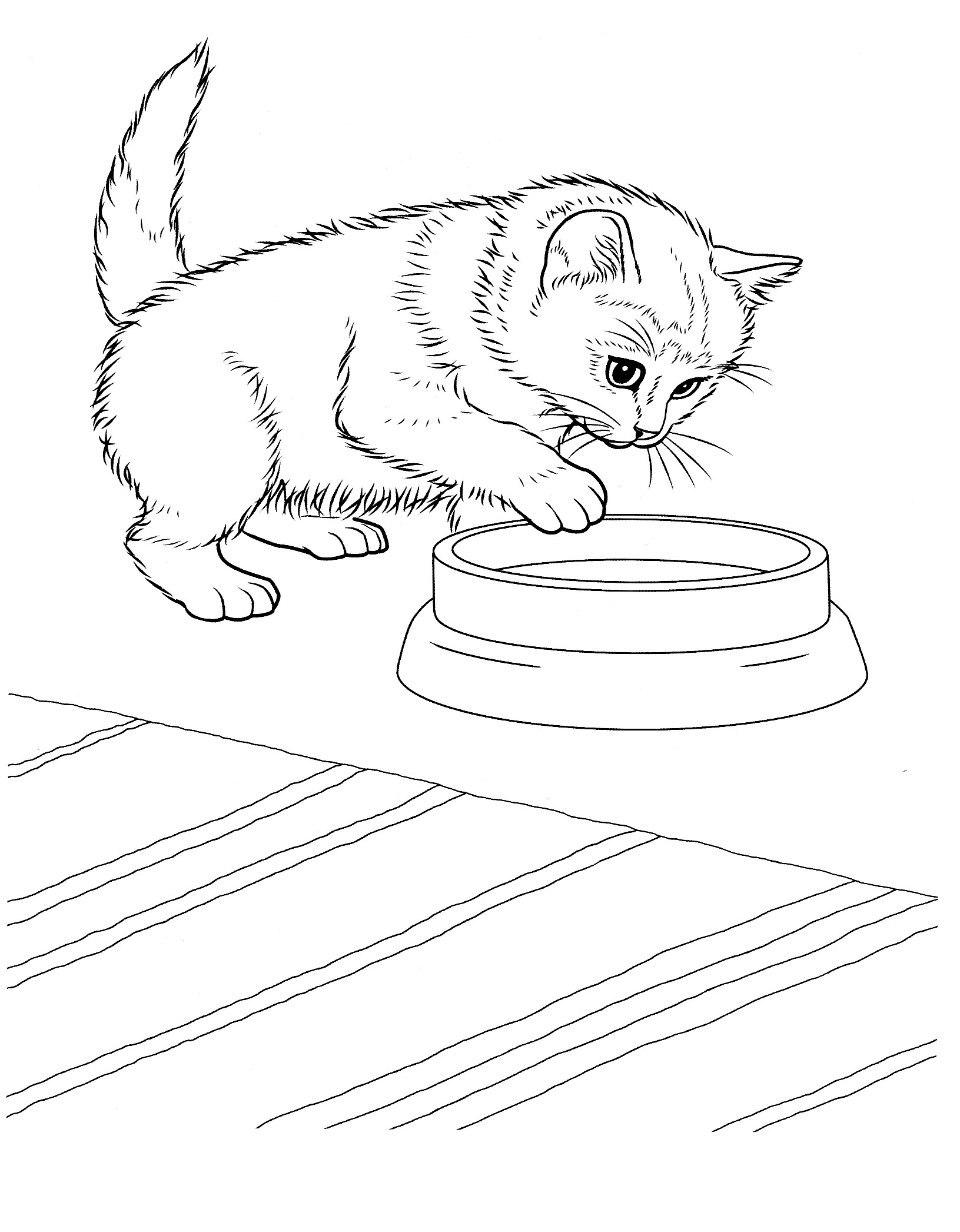 25 Funny kitten coloring sheet
