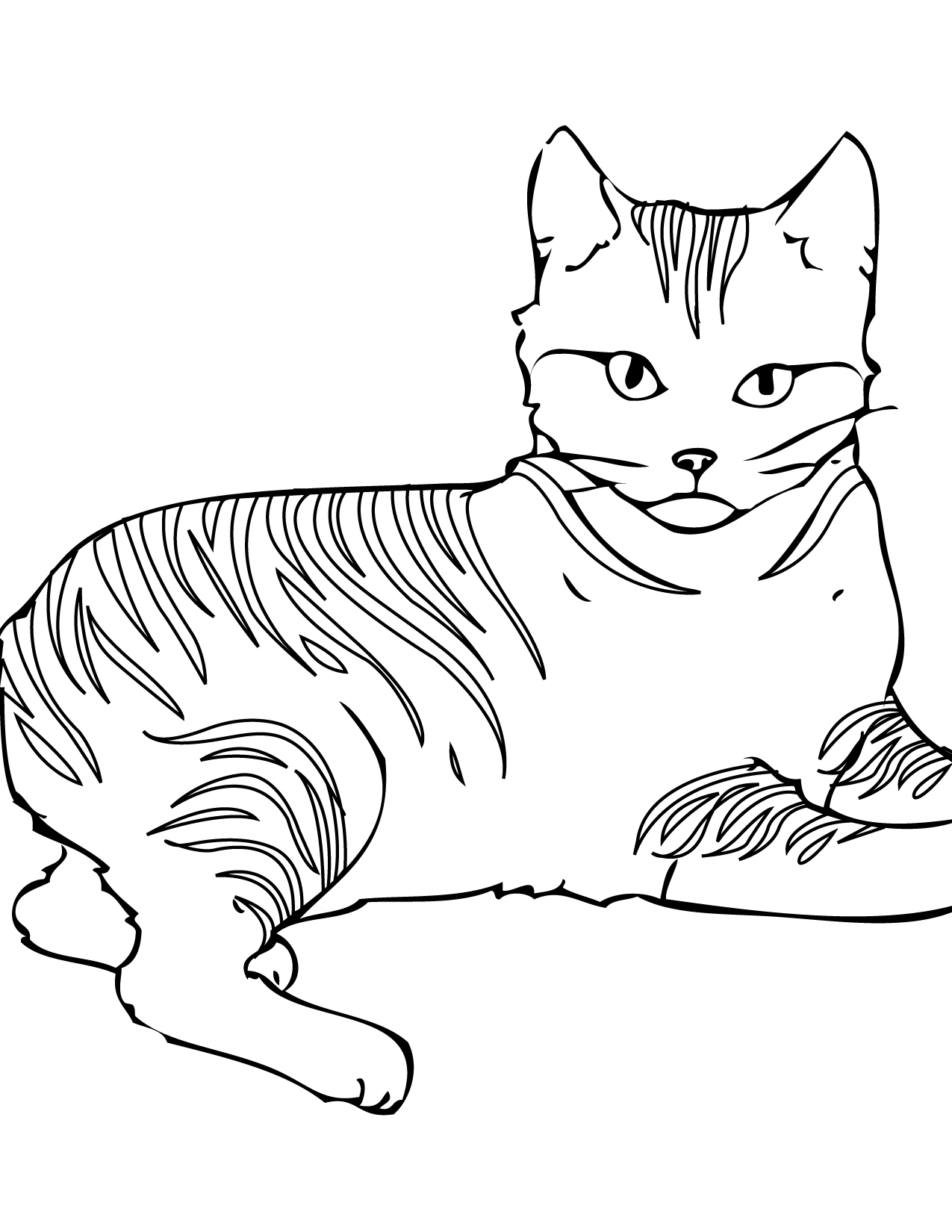 30 Playful cat coloring sheet
