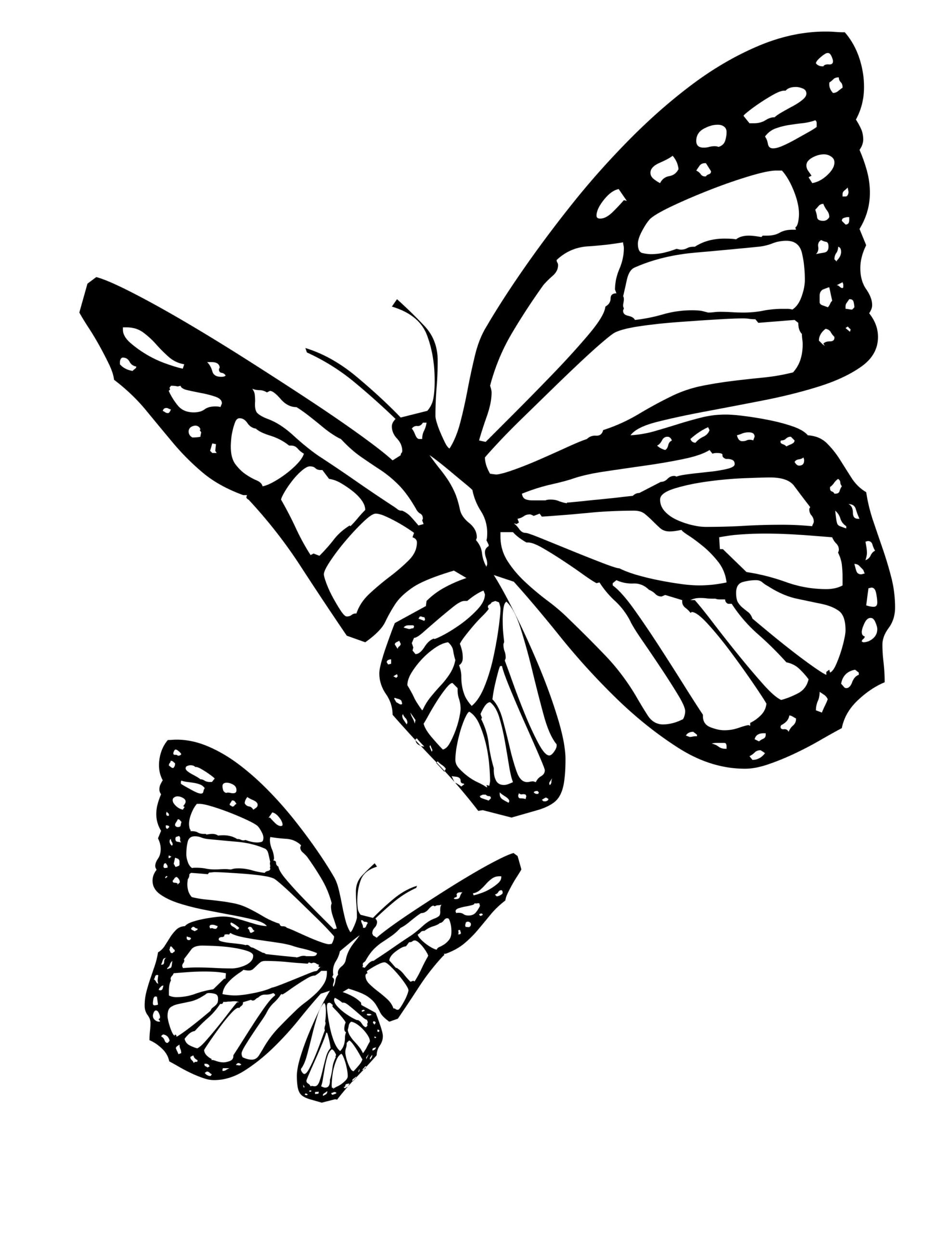 Butterfly Coloring Pages A4