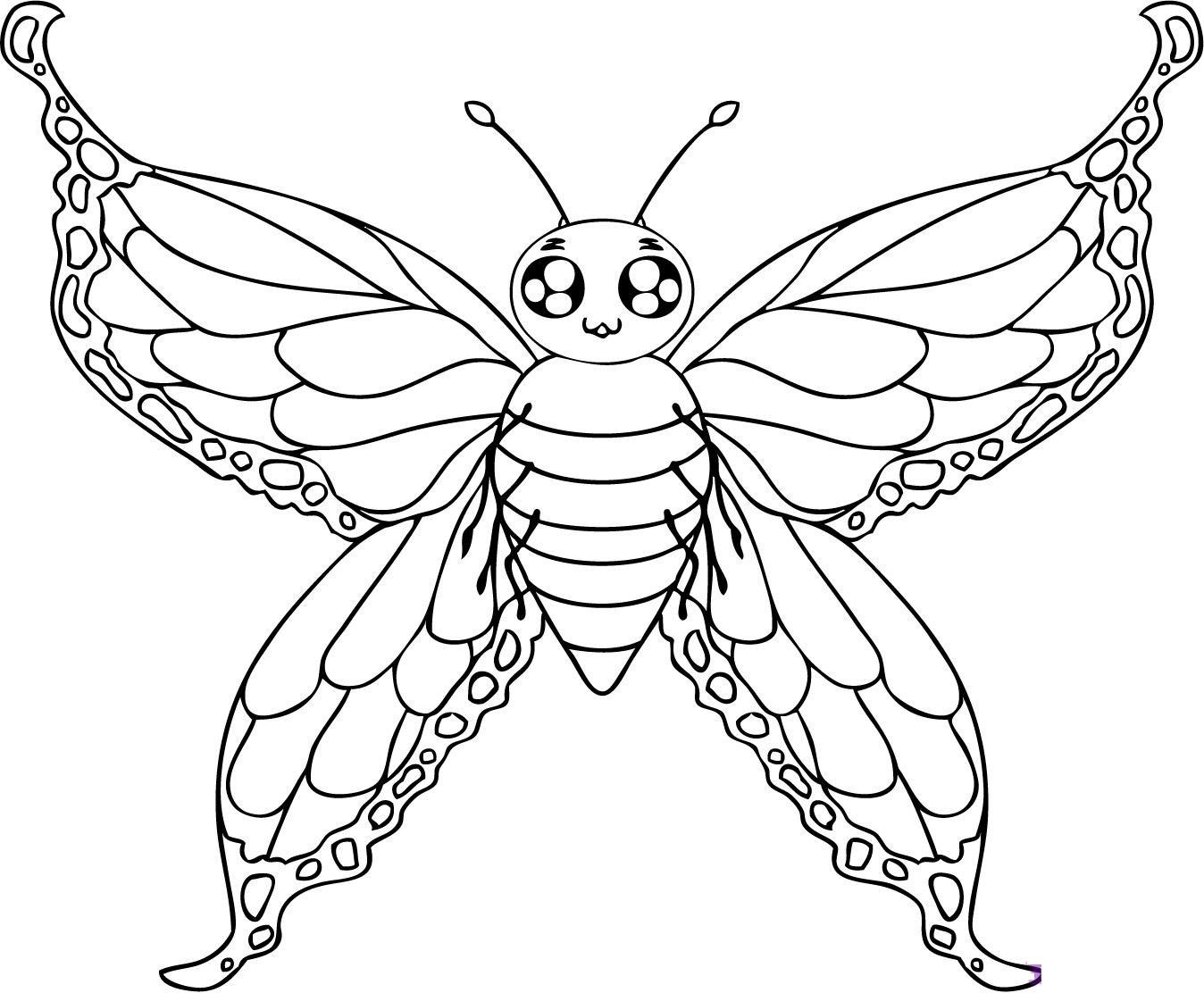 Butterfly Coloring Pages Colored