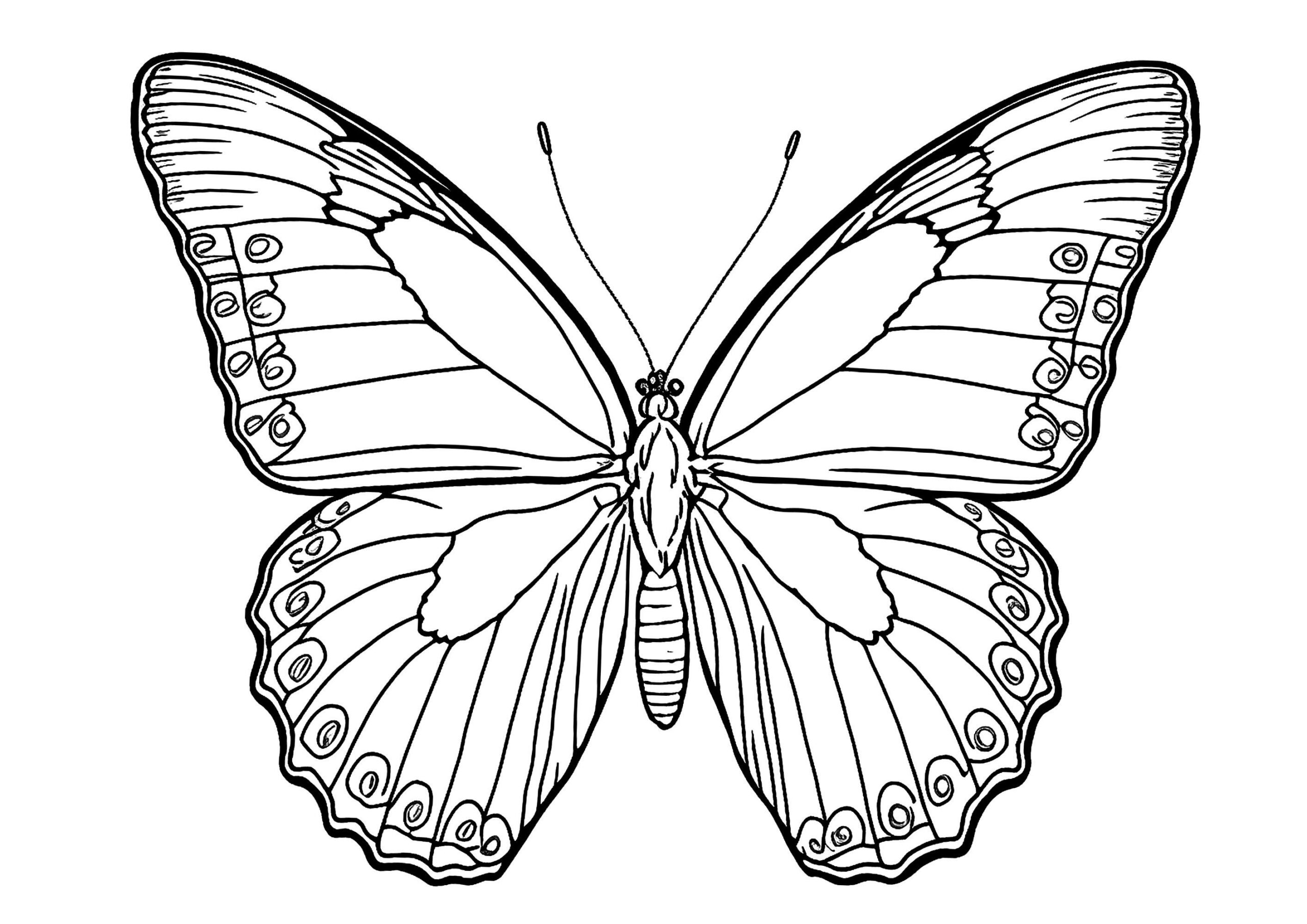 Butterfly Coloring Pages Cut Out