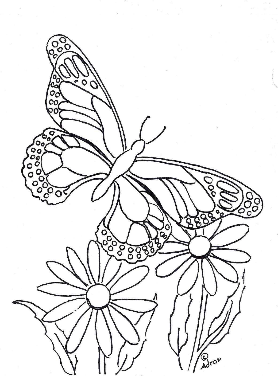 Butterfly Coloring Pages Detailed