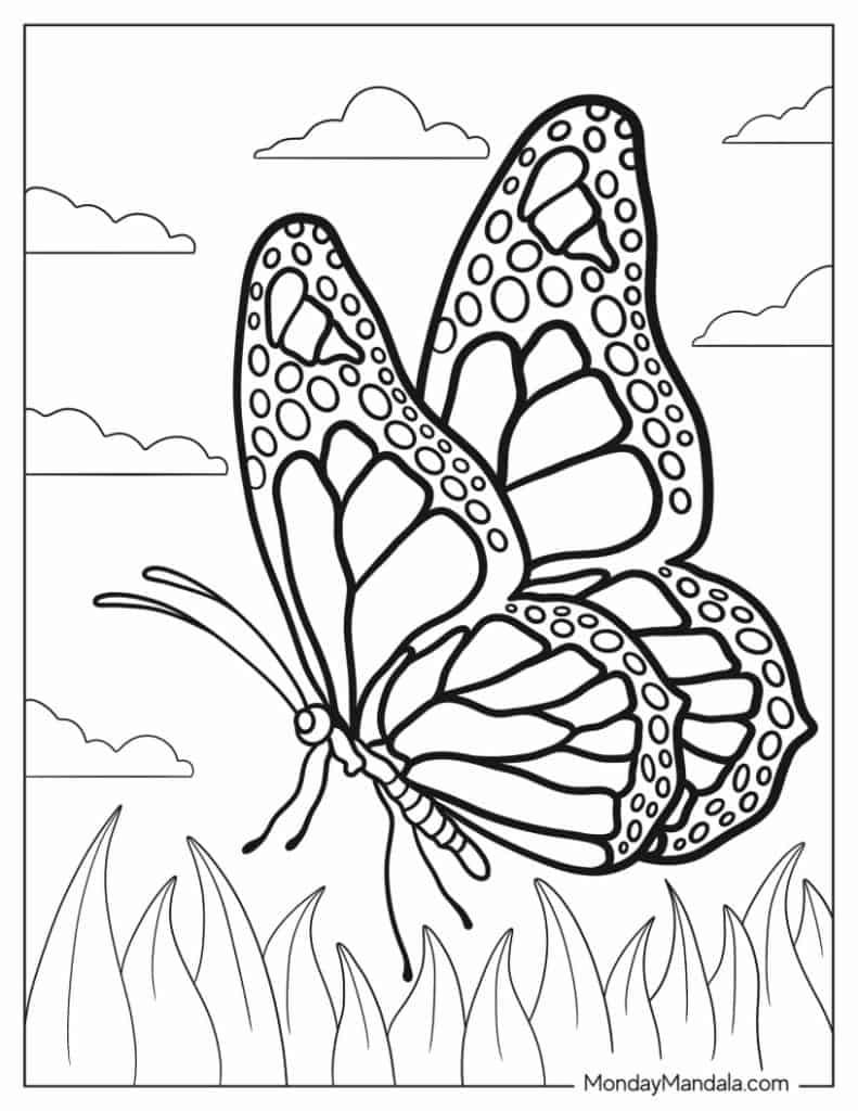 Butterfly Coloring Pages Duck