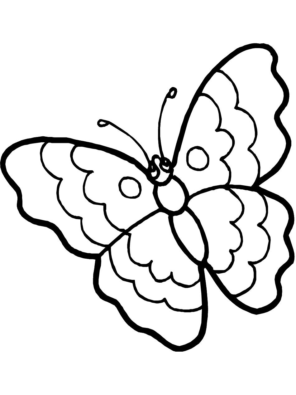 Butterfly Coloring Pages For Adults Free