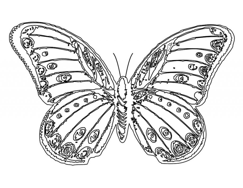 Butterfly Coloring Pages For Toddlers