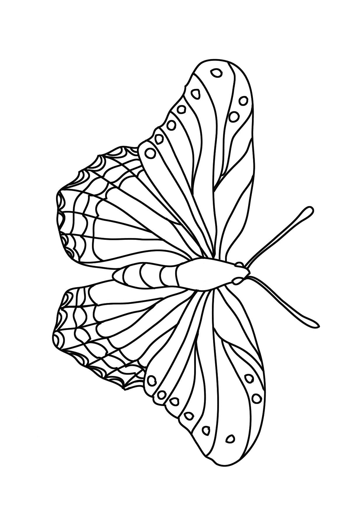 Butterfly Coloring Pages Preschool