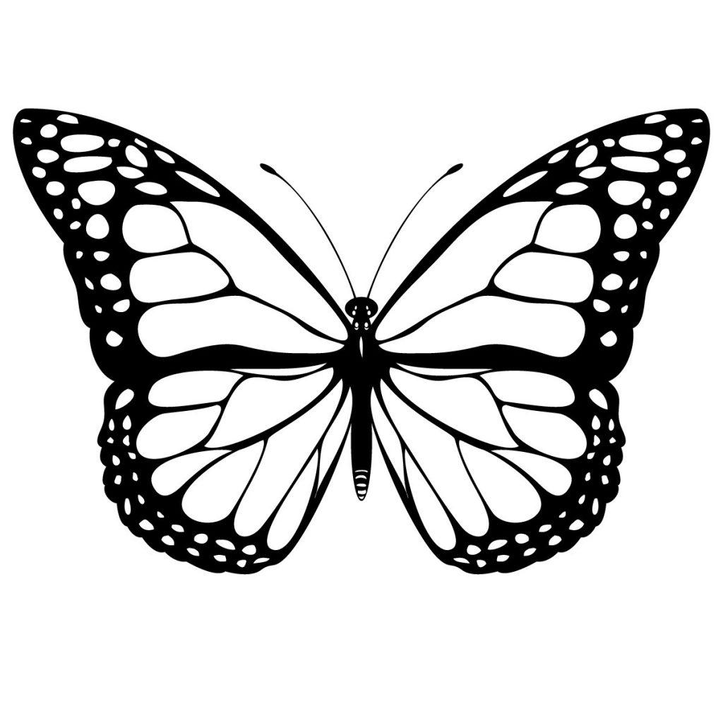 Butterfly Coloring Sheet Colored