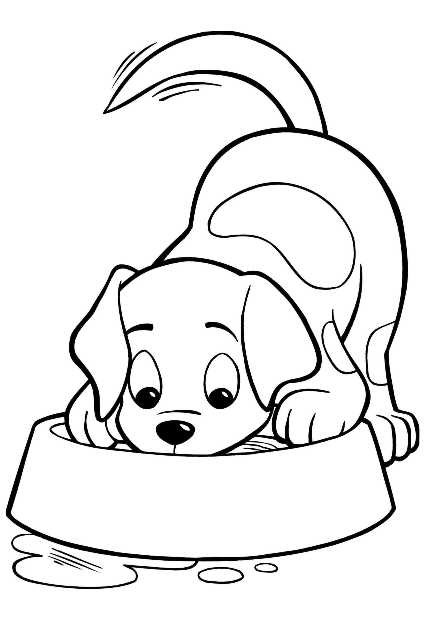 Cat And Dog Coloring Pages For Kids