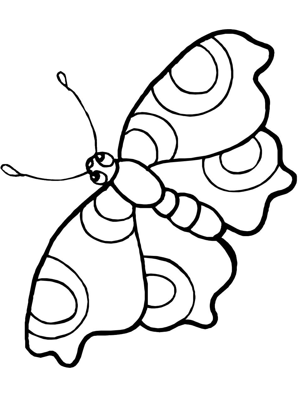 Coloring Pages Butterfly And Flowers