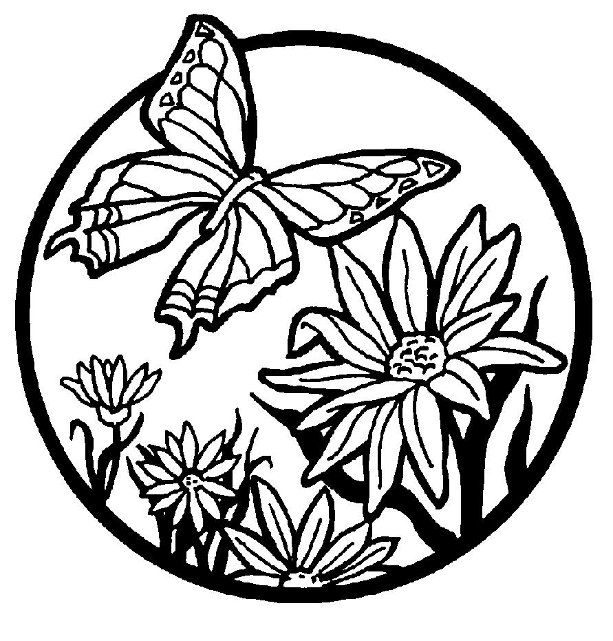 Coloring Pages Butterfly And Flowers