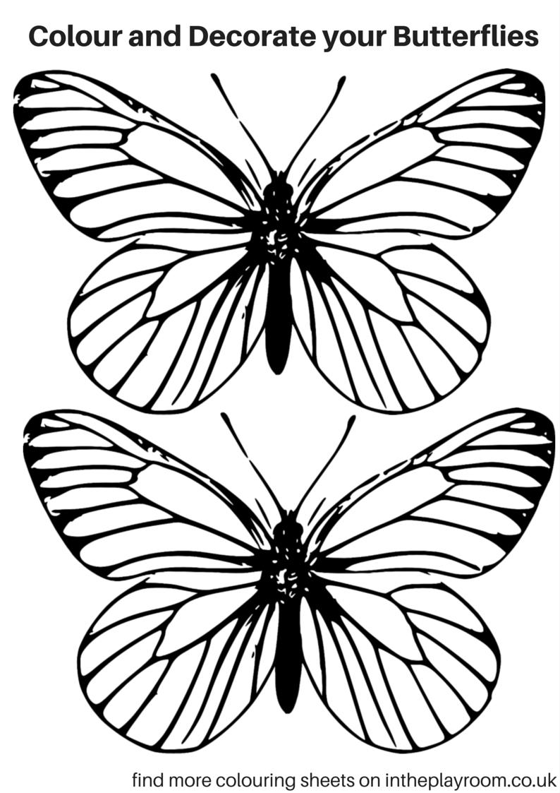 Coloring Pages Butterfly Easy