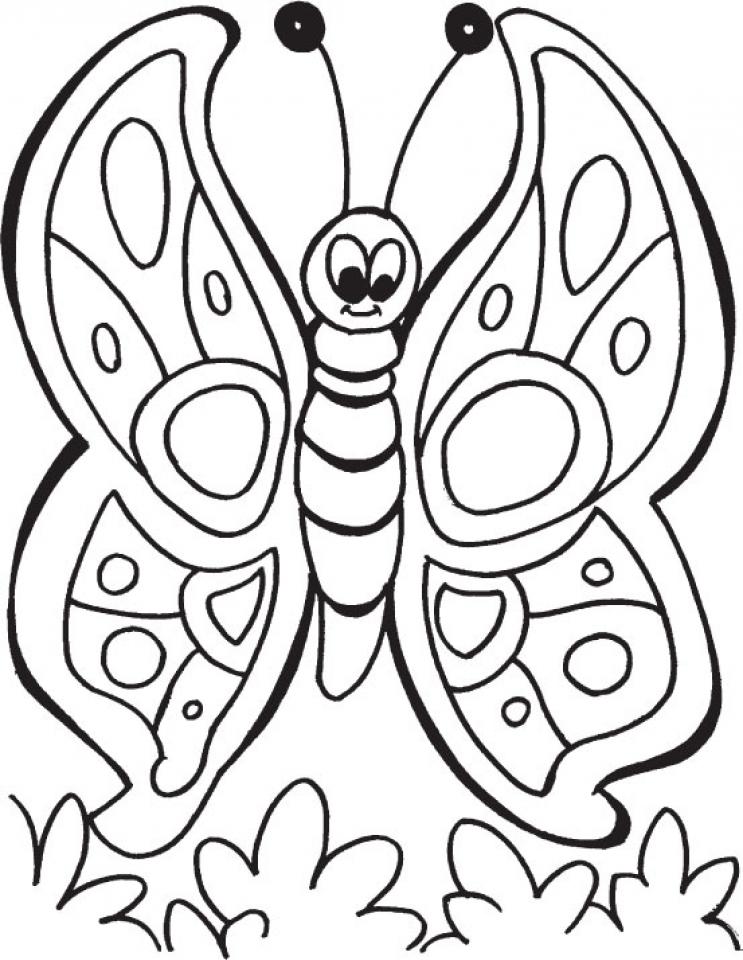 Coloring Pages Butterfly Free