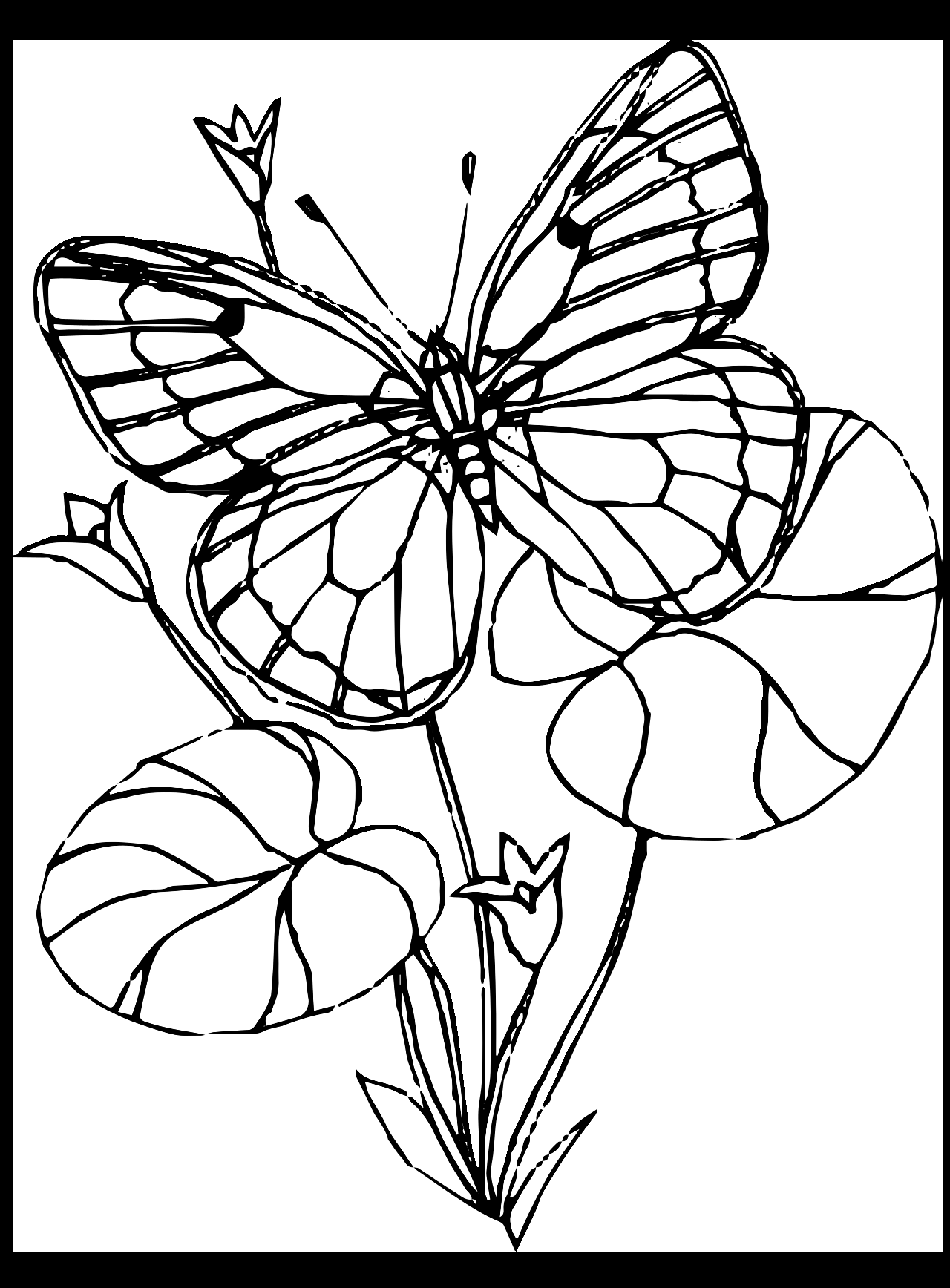 Coloring Pages Flowers And Butterflies Easy