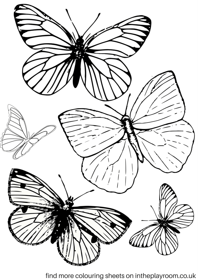 Coloring Pages For Butterfly