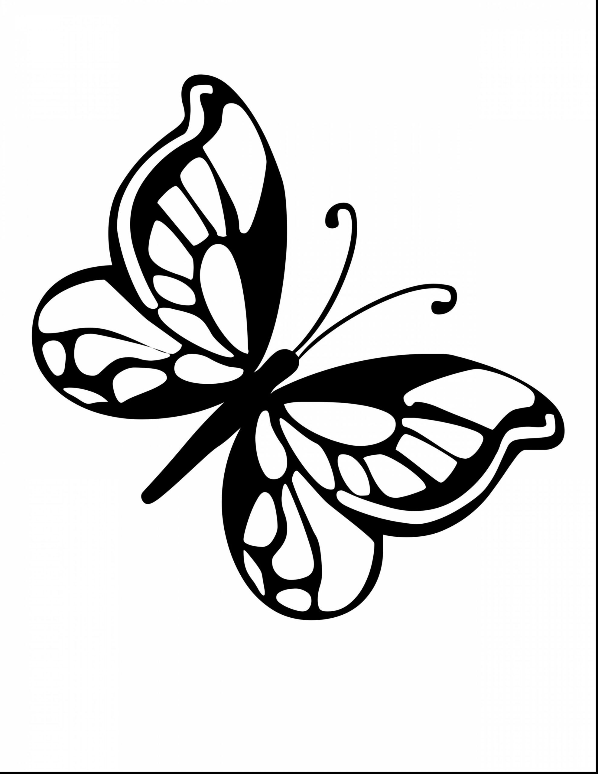 Coloring Pages Hard Butterfly