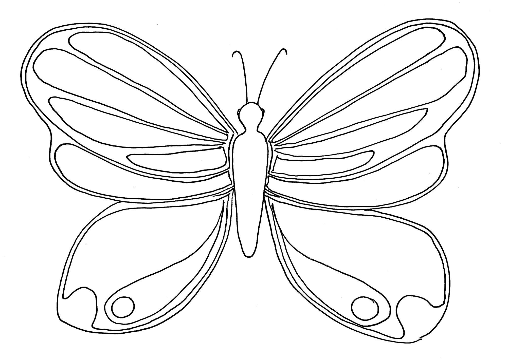 Cute Butterfly Coloring Pages Easy