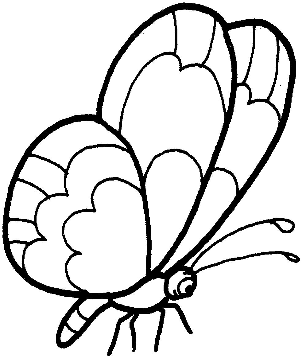 Difficult Butterfly Coloring Pages