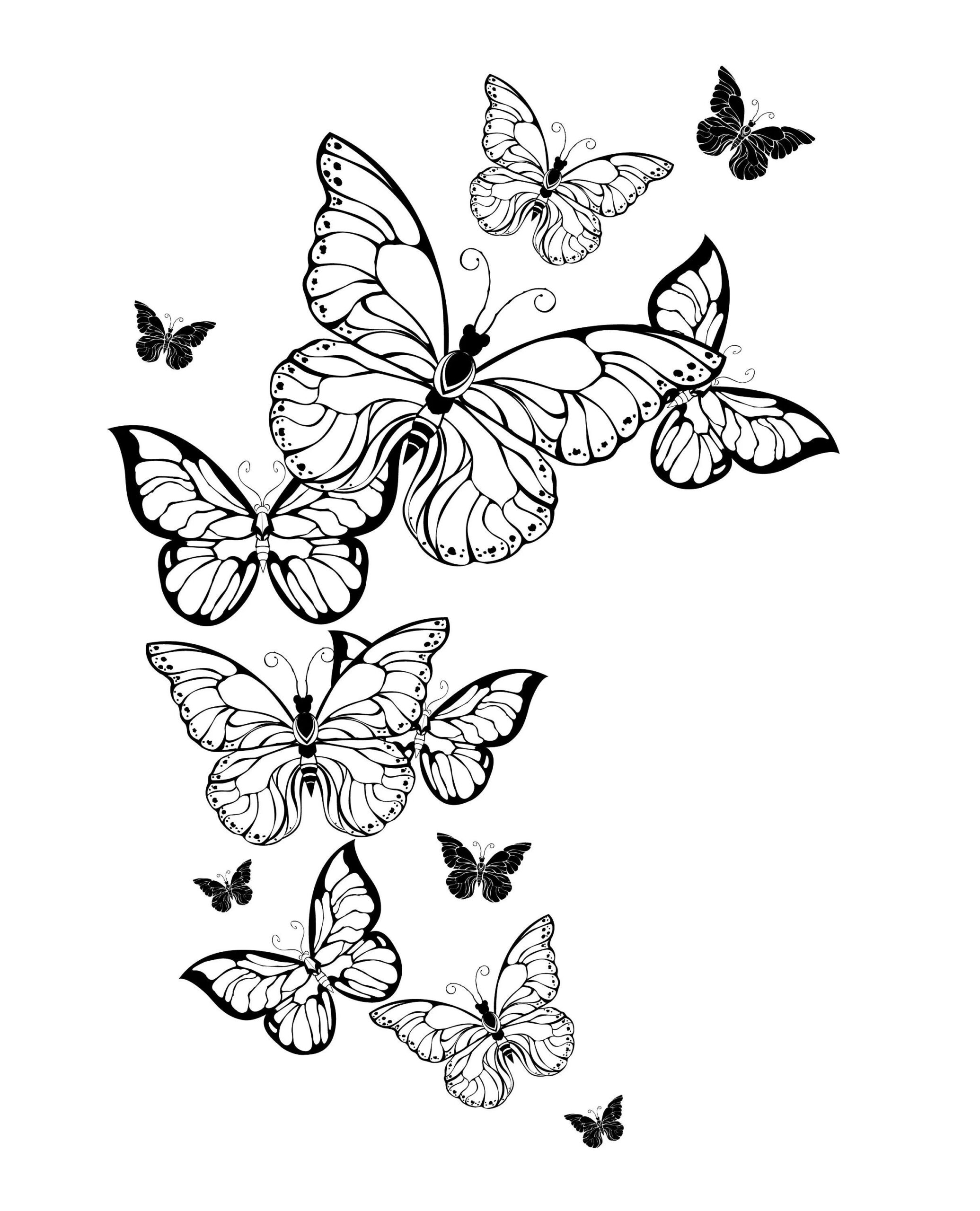 Dreamcatcher Butterfly Coloring Pages For Adults