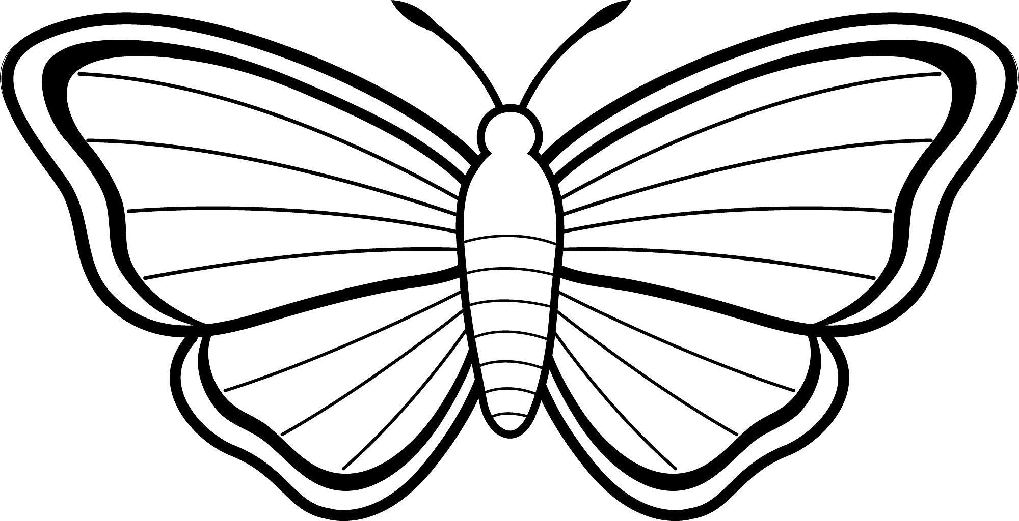 Easter Butterfly Coloring Pages