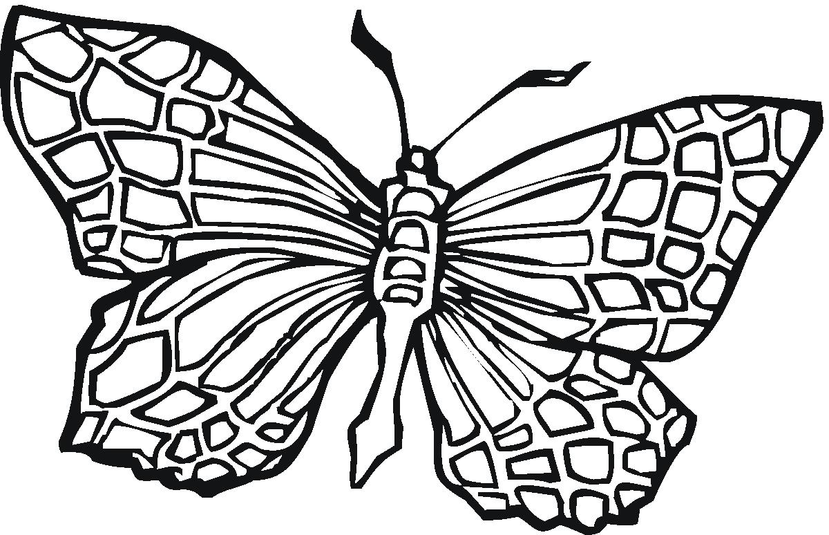 Easy Butterfly Coloring Pages For Adults