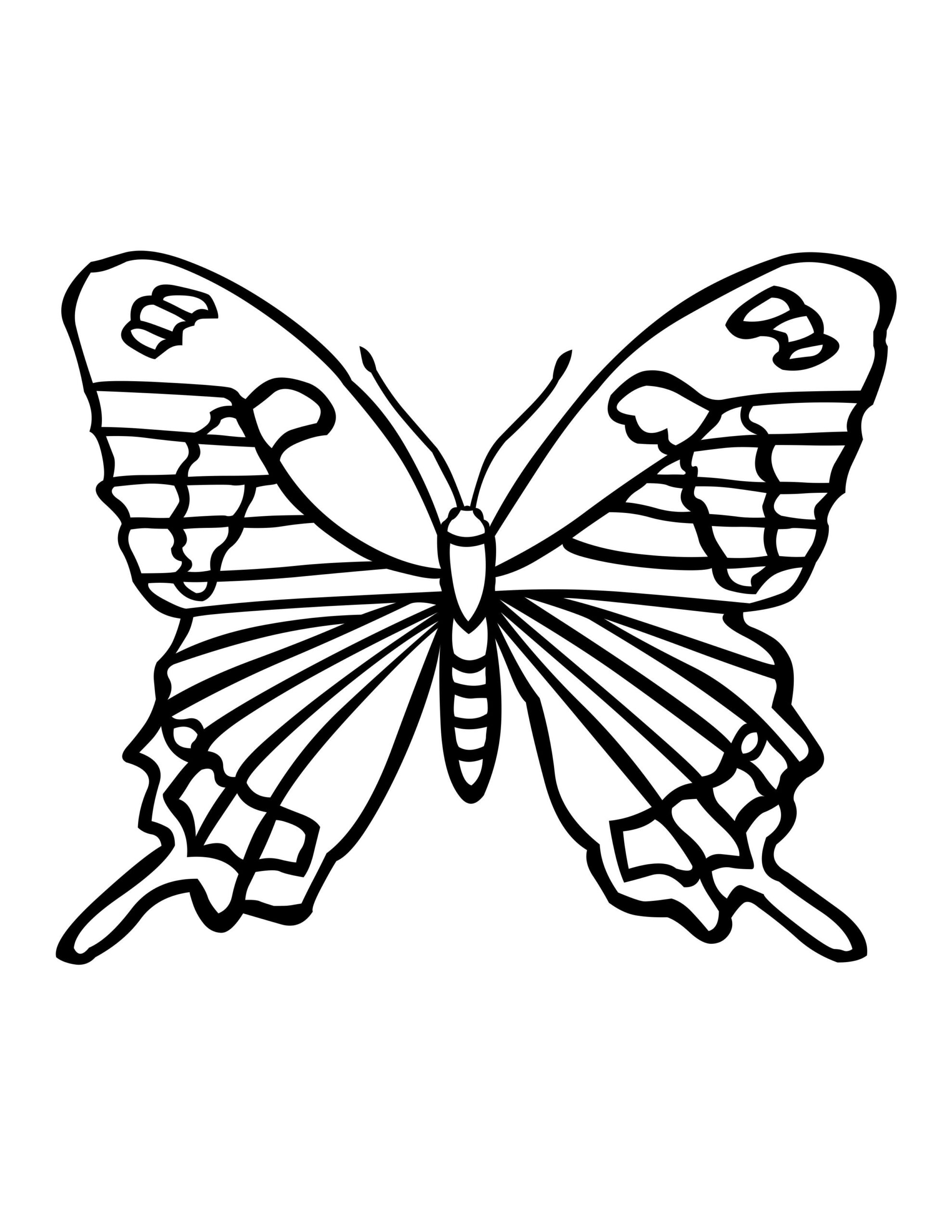 Free Butterfly Coloring Pages For Preschoolers