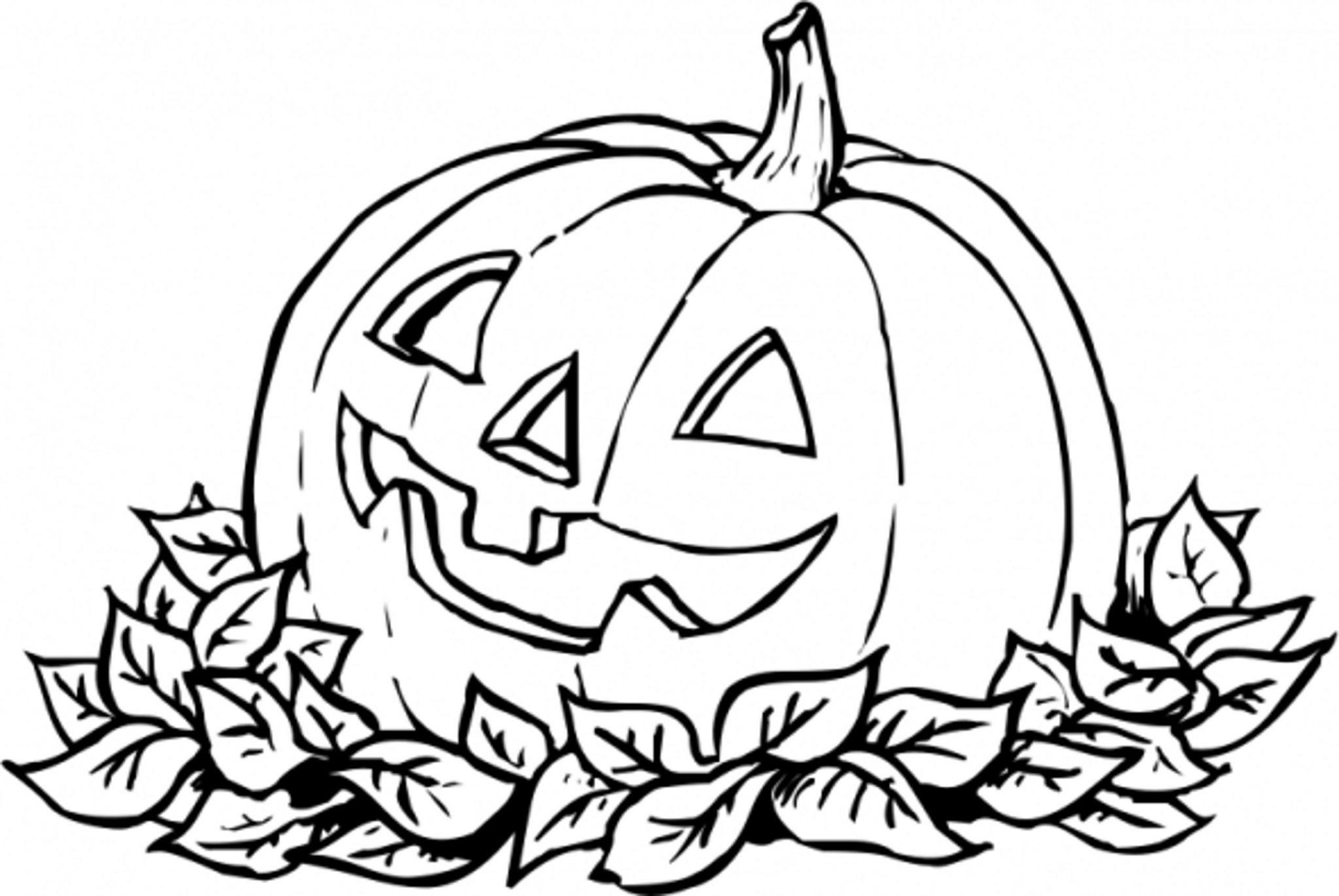 Halloween Cat And Pumpkin Coloring Pages