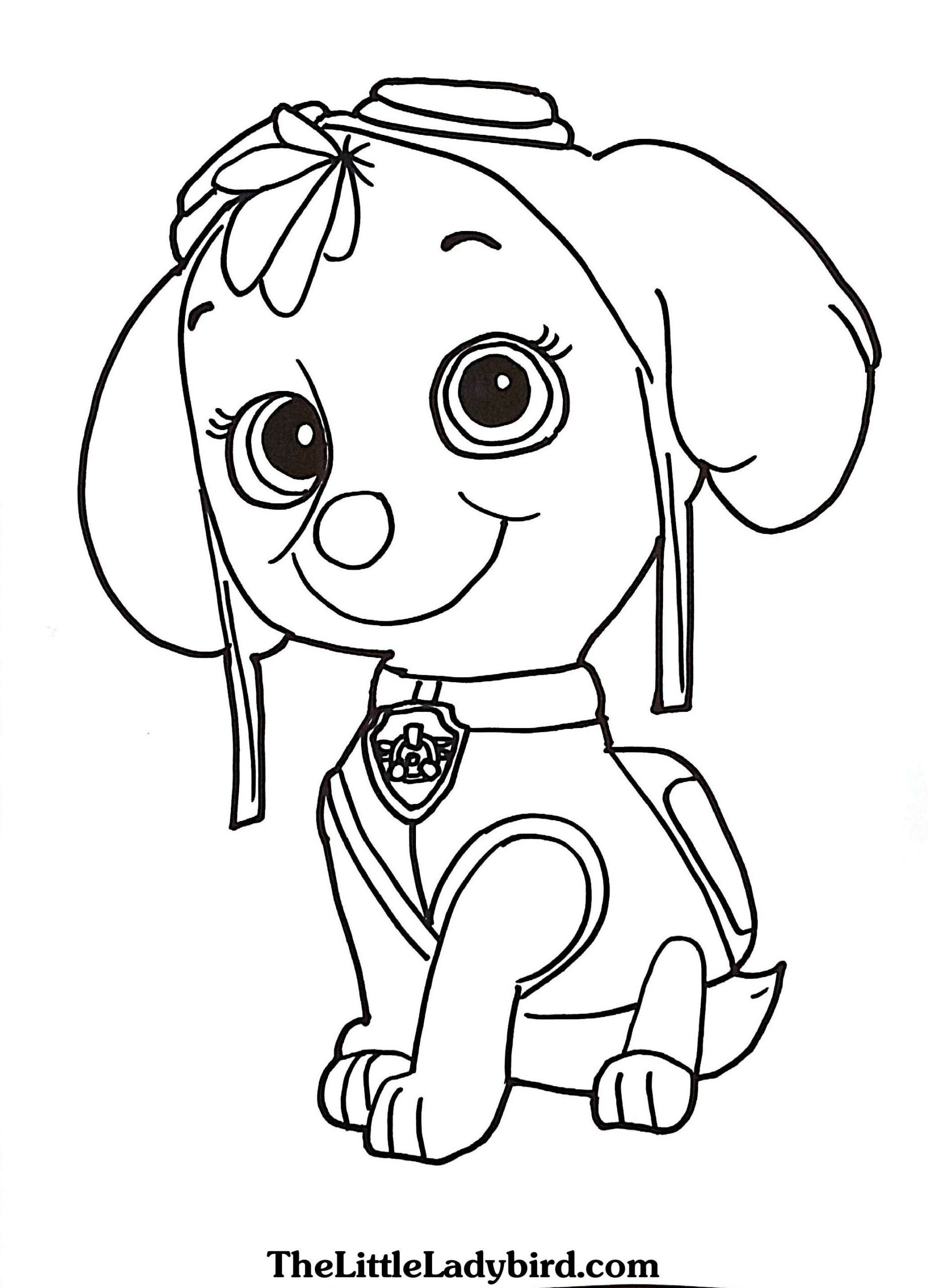 Paw Patrol characters coloring activities