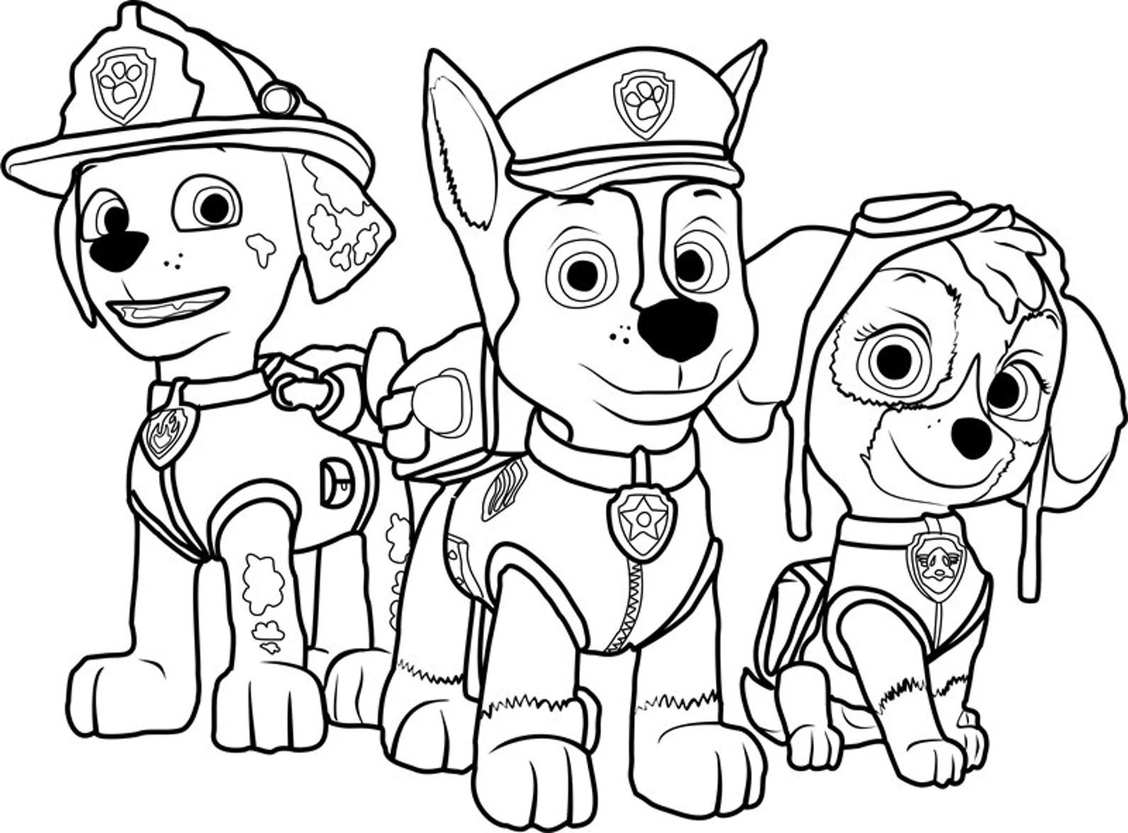 Paw Patrol characters to color