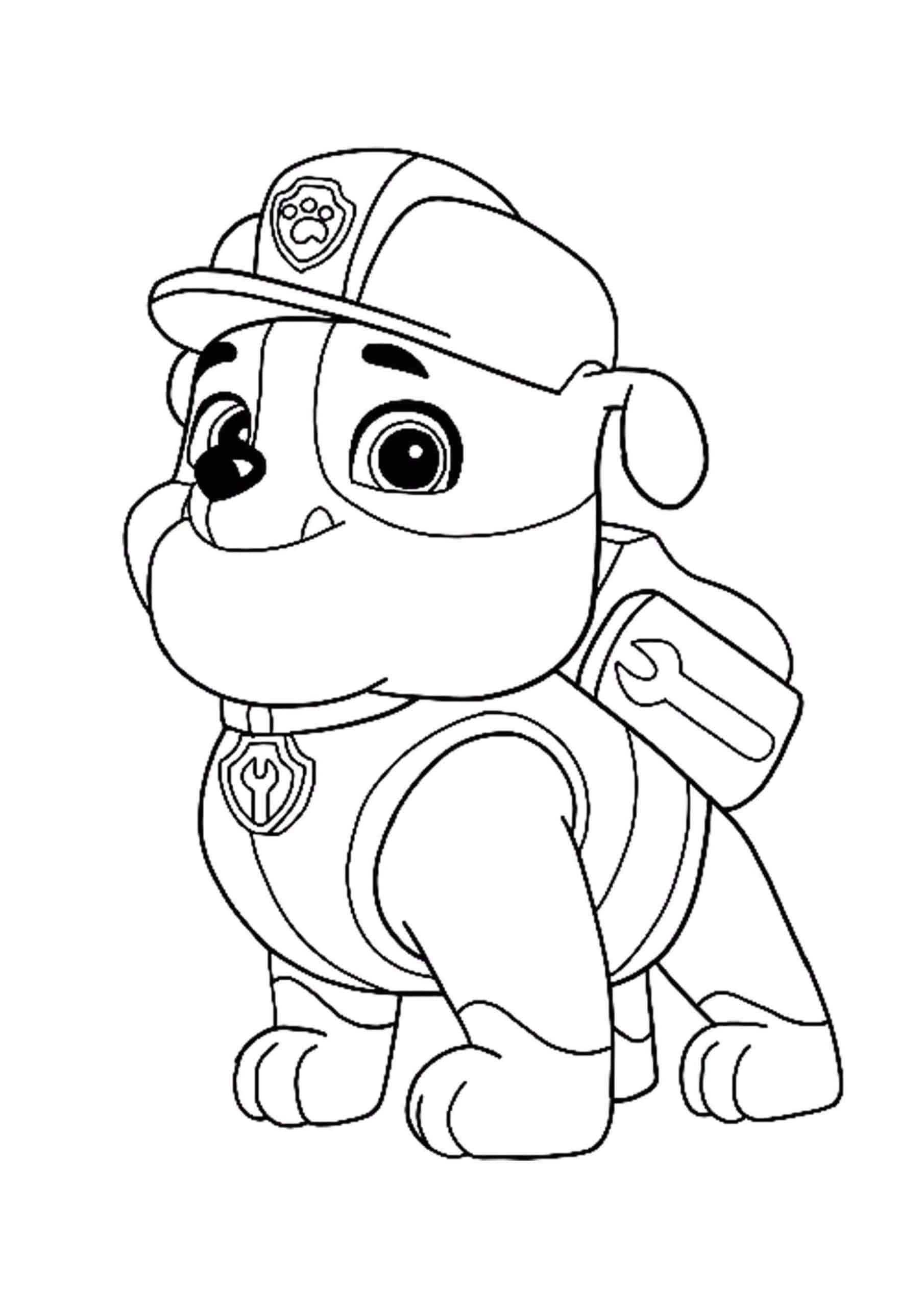 Paw Patrol coloring book for kids