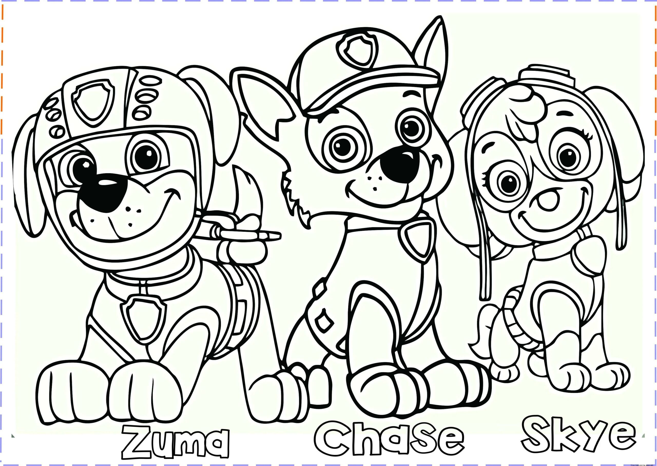 Paw Patrol coloring pages for fans