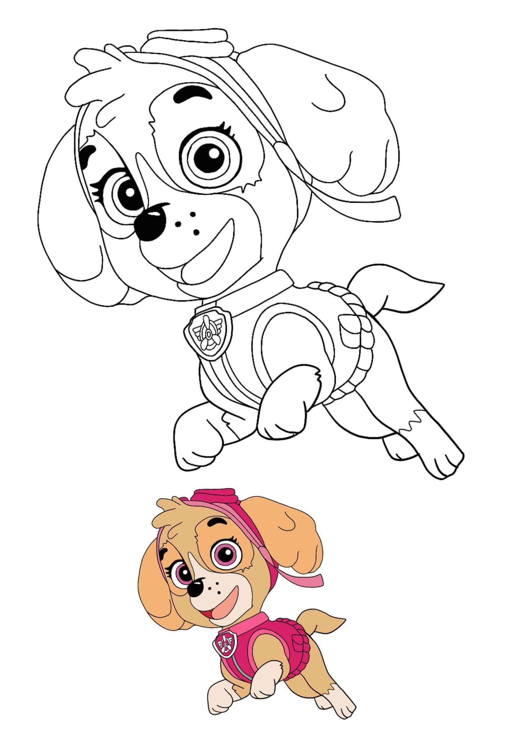 Paw Patrol coloring pages free