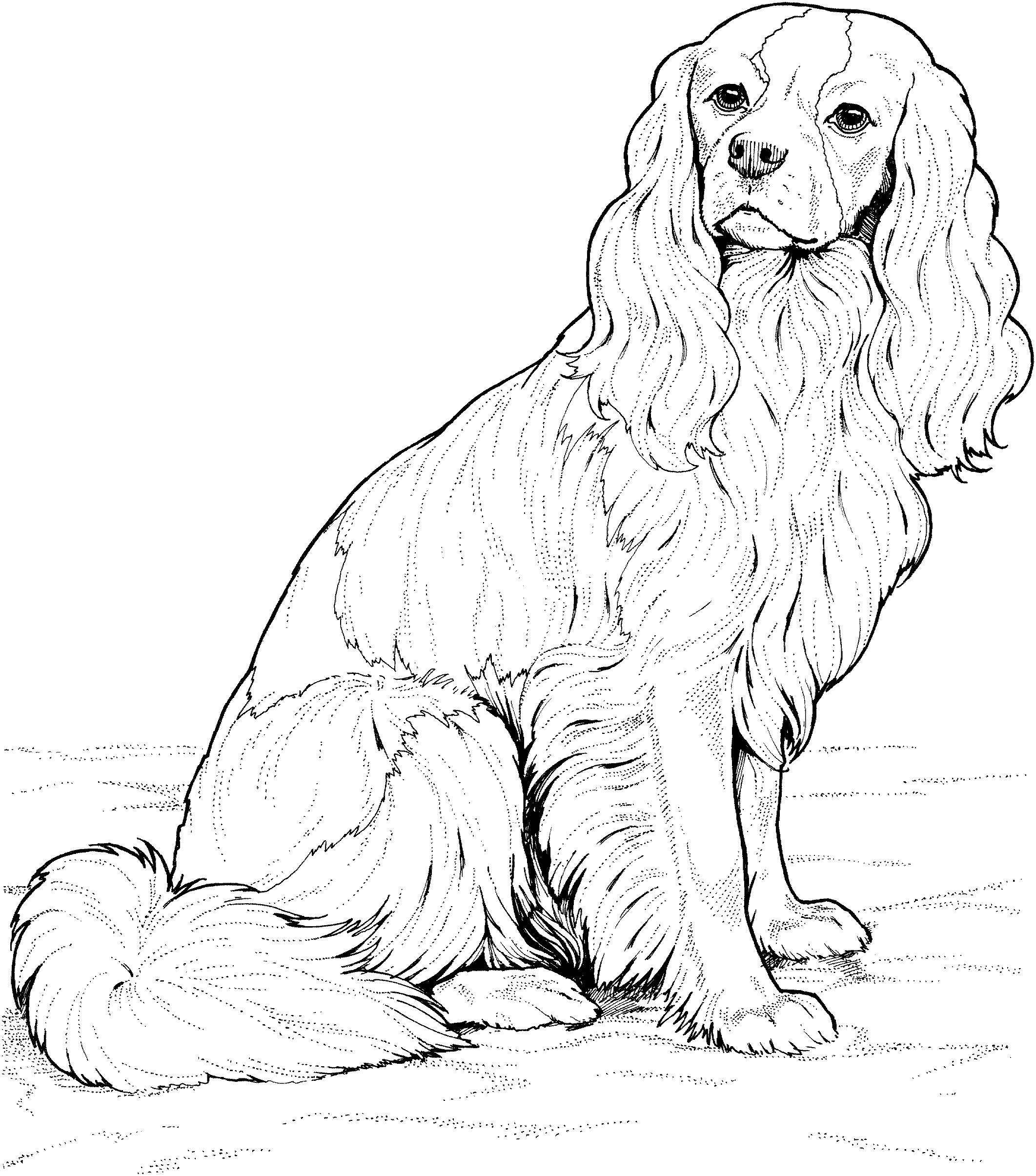 Puppy Family Coloring Pages