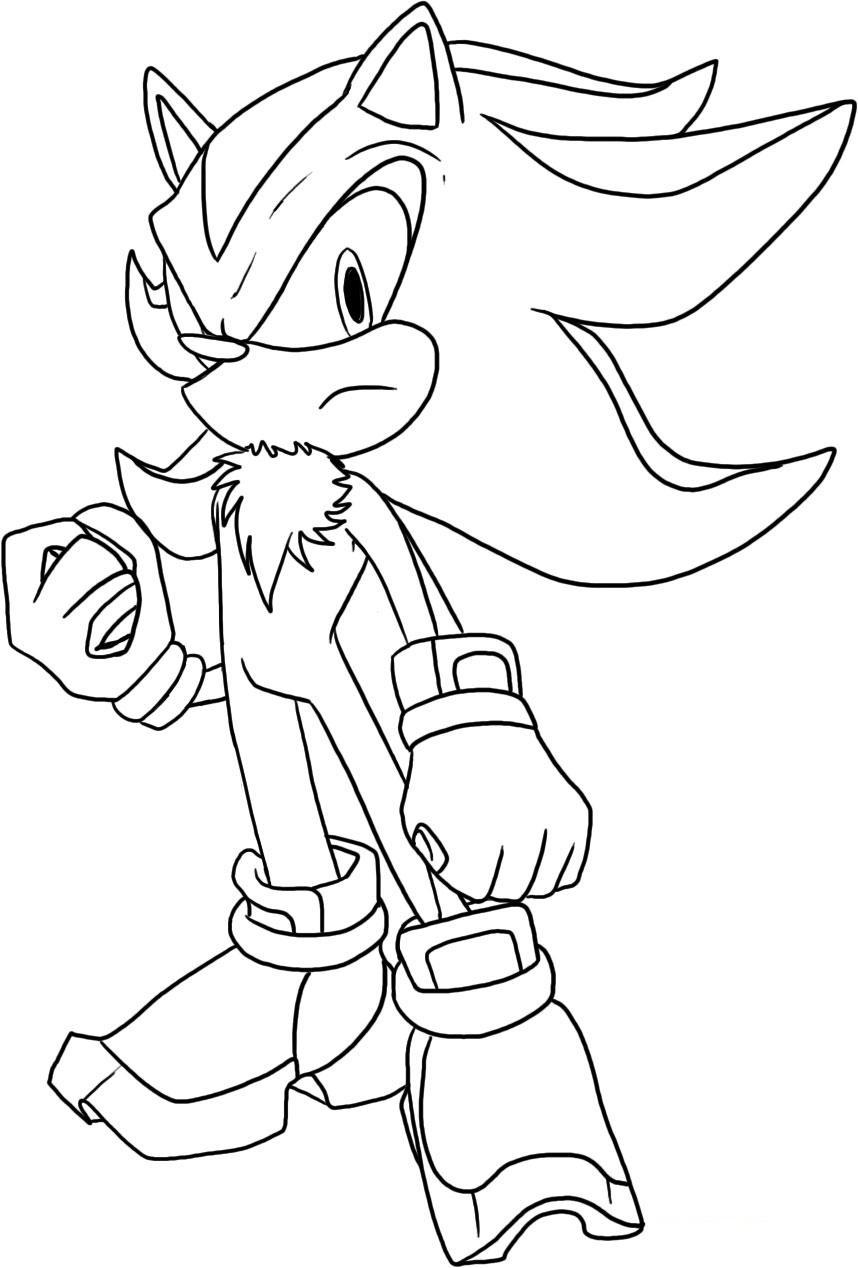 Sonic Characters Coloring Book