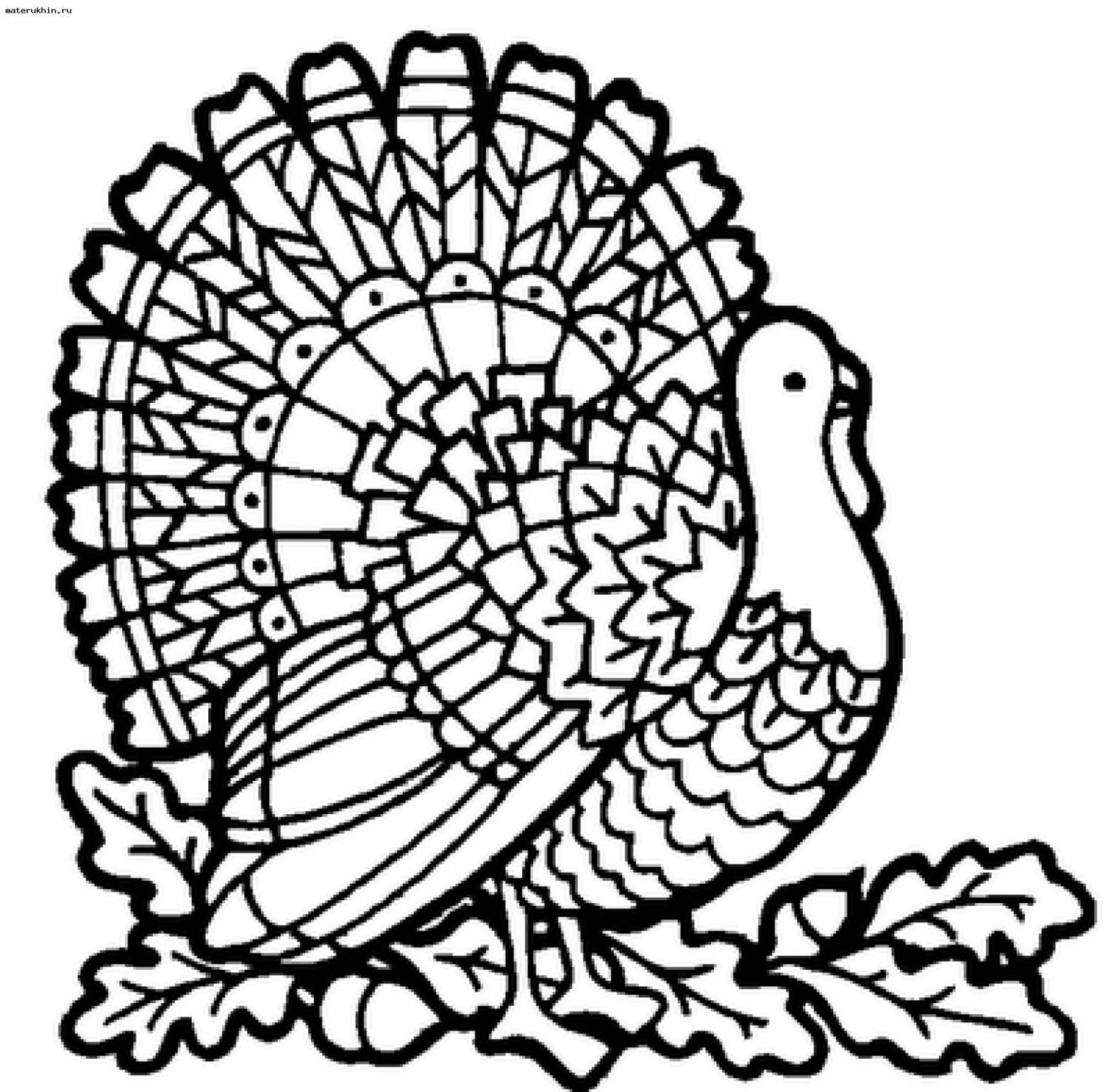 Thanksgiving Coloring Pages Elementary