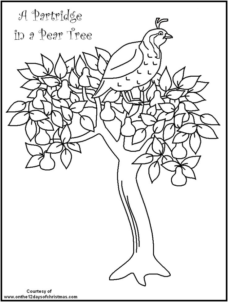 12 Days Of Christmas Coloring Book