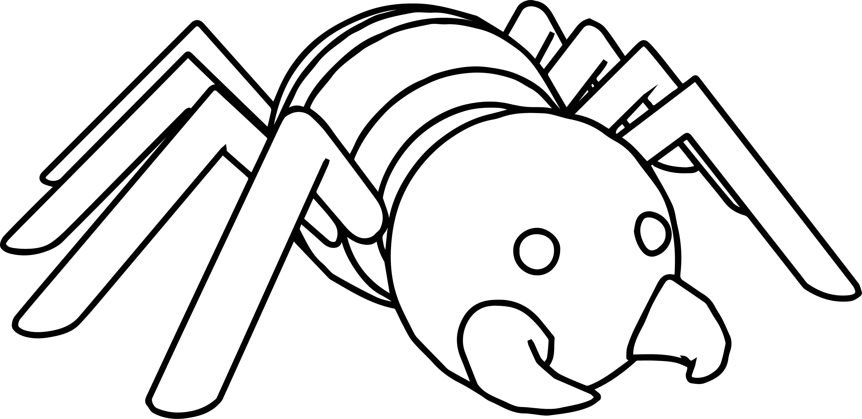 20 Big Spider Coloring Pages Free