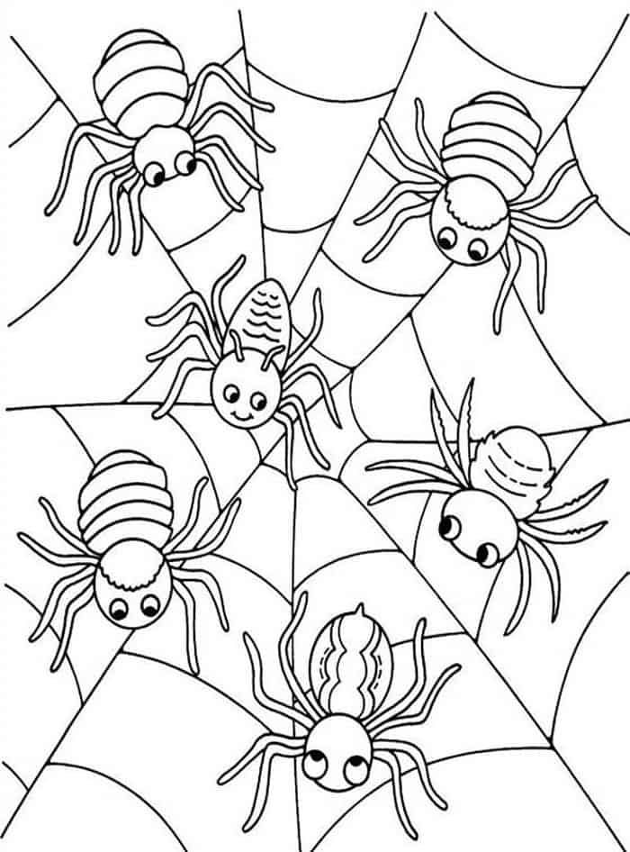 20 Spider Cat Coloring Pages Free