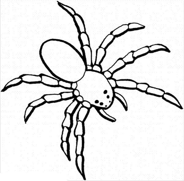 30 Christmas Spider Coloring Pages Free