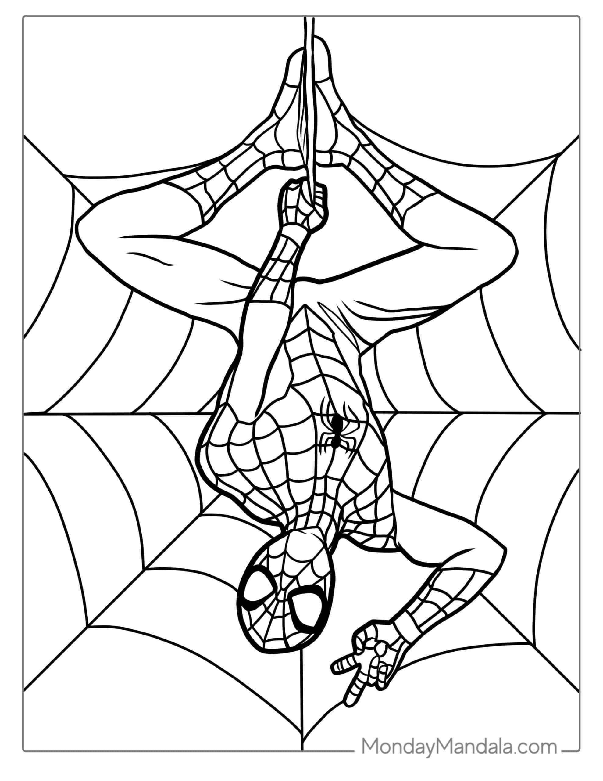 35 Black Spider Coloring Pages Pdf