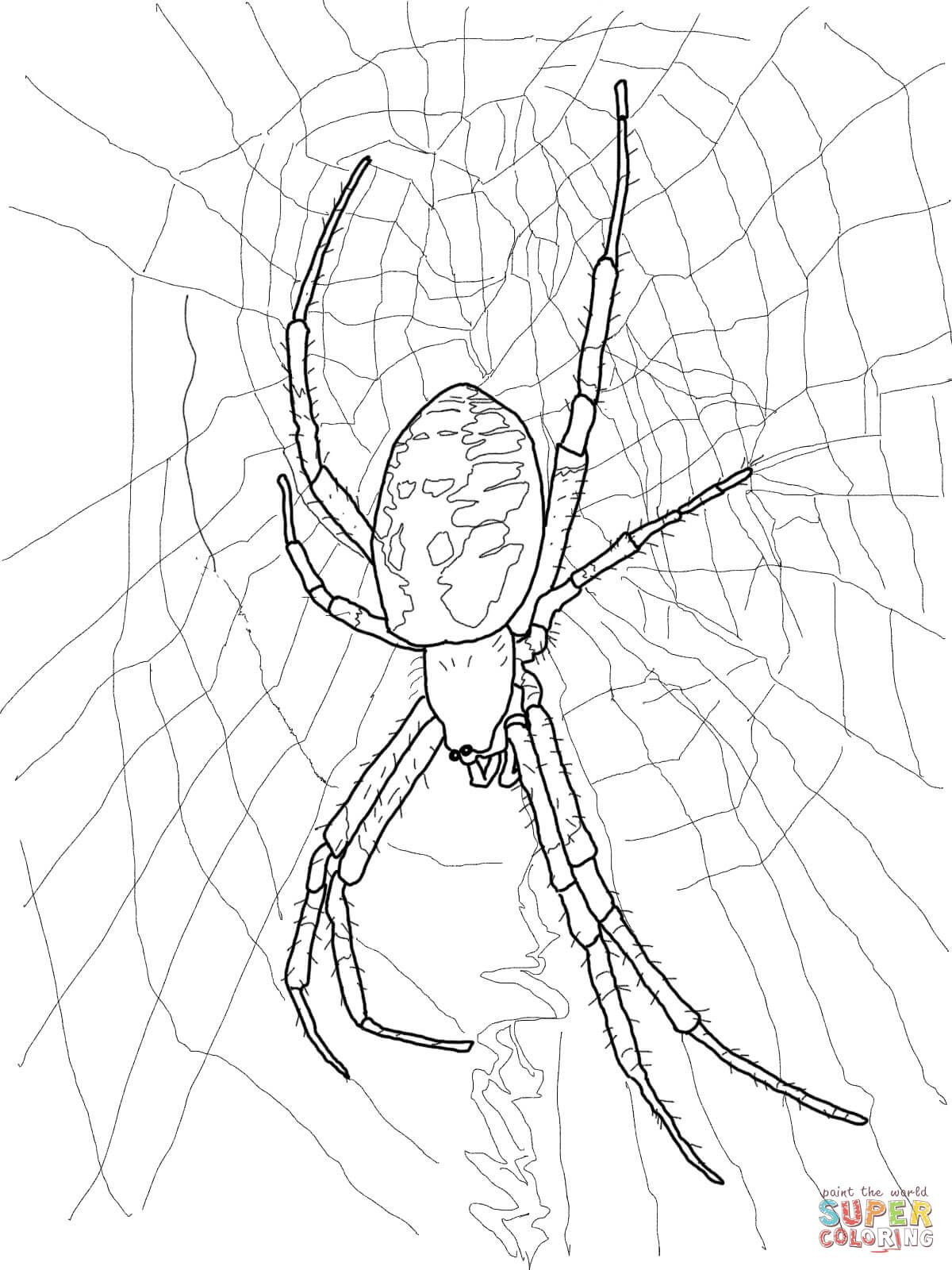 35 Spider Man Coloring Sheet Easy Pdf