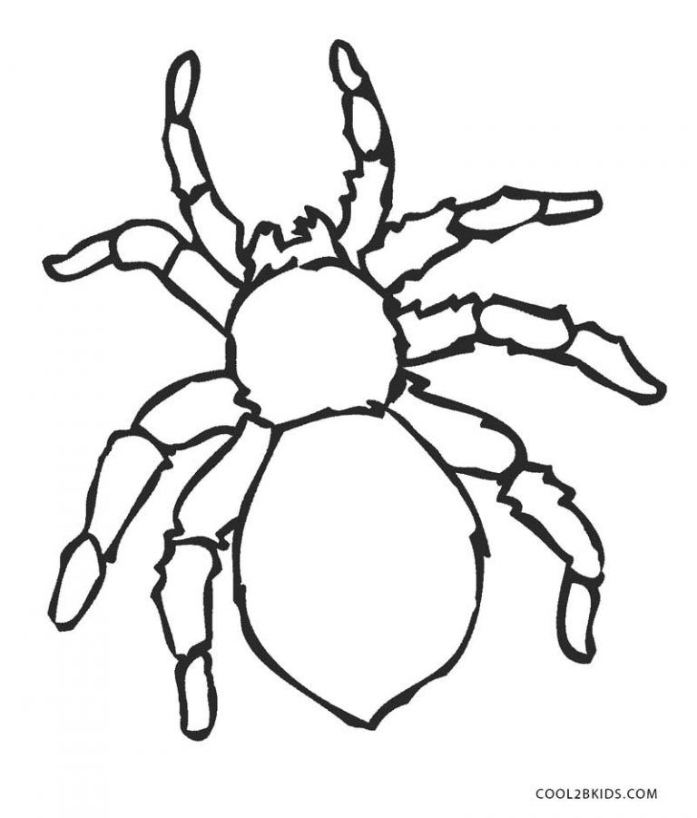 35 Spider Man Easter Coloring Pages Download