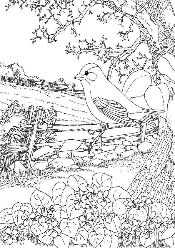 Birds In Winter Coloring Page