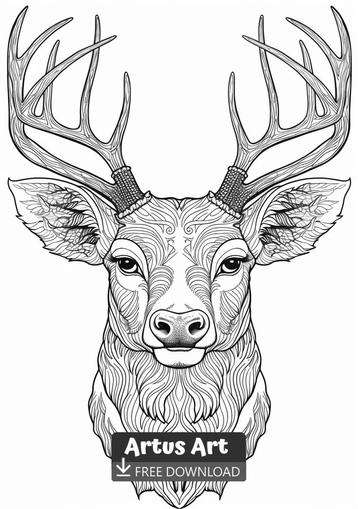 Winter Deer Coloring