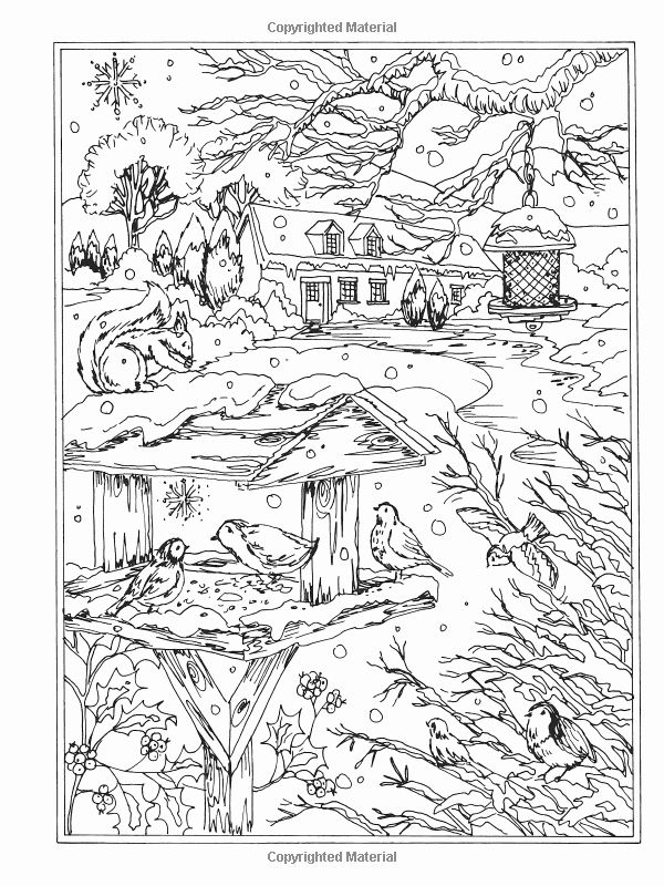 Winter House Coloring Pages For Adults